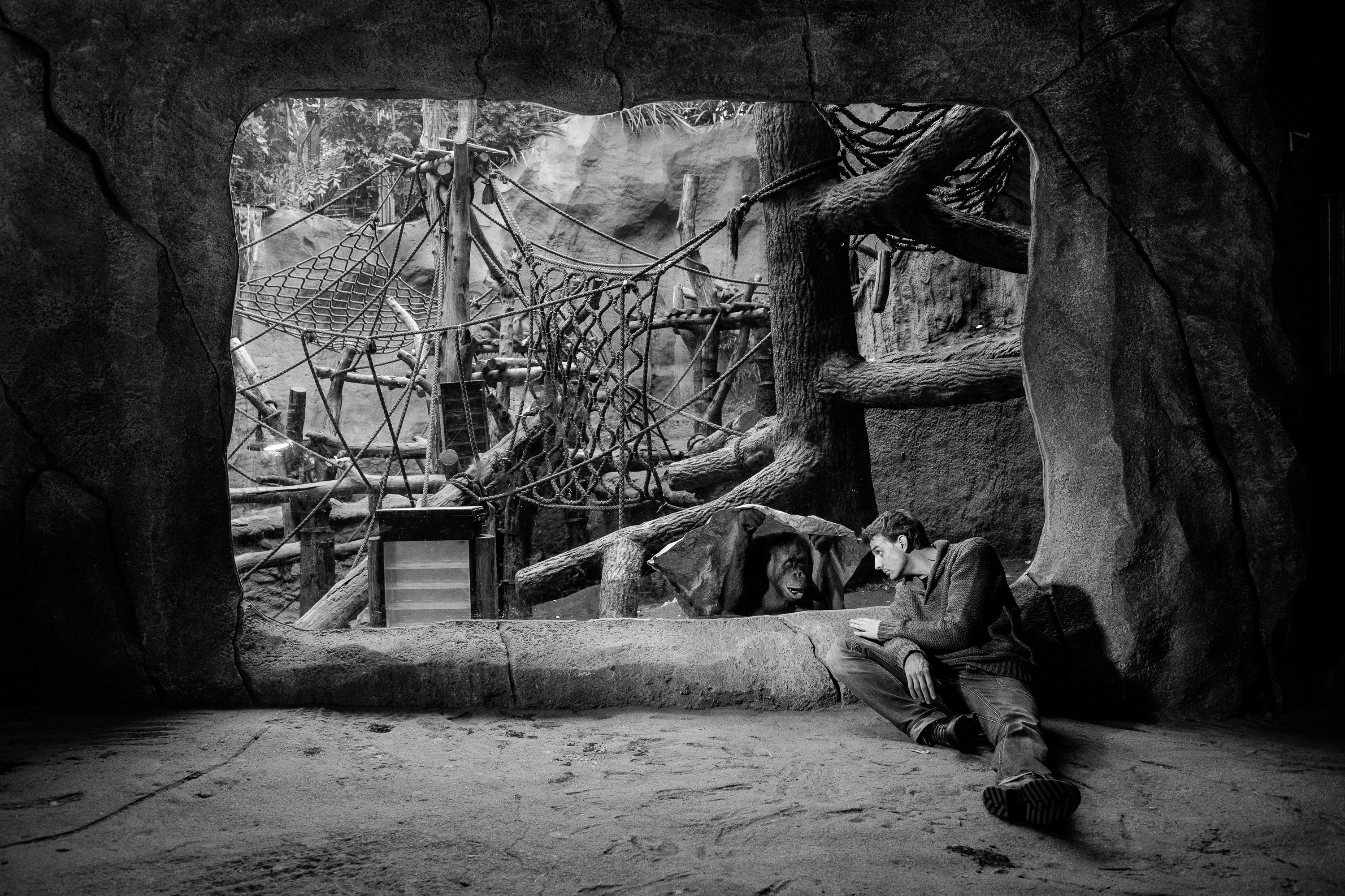 Daniel Haun. Sozialpsycologe.