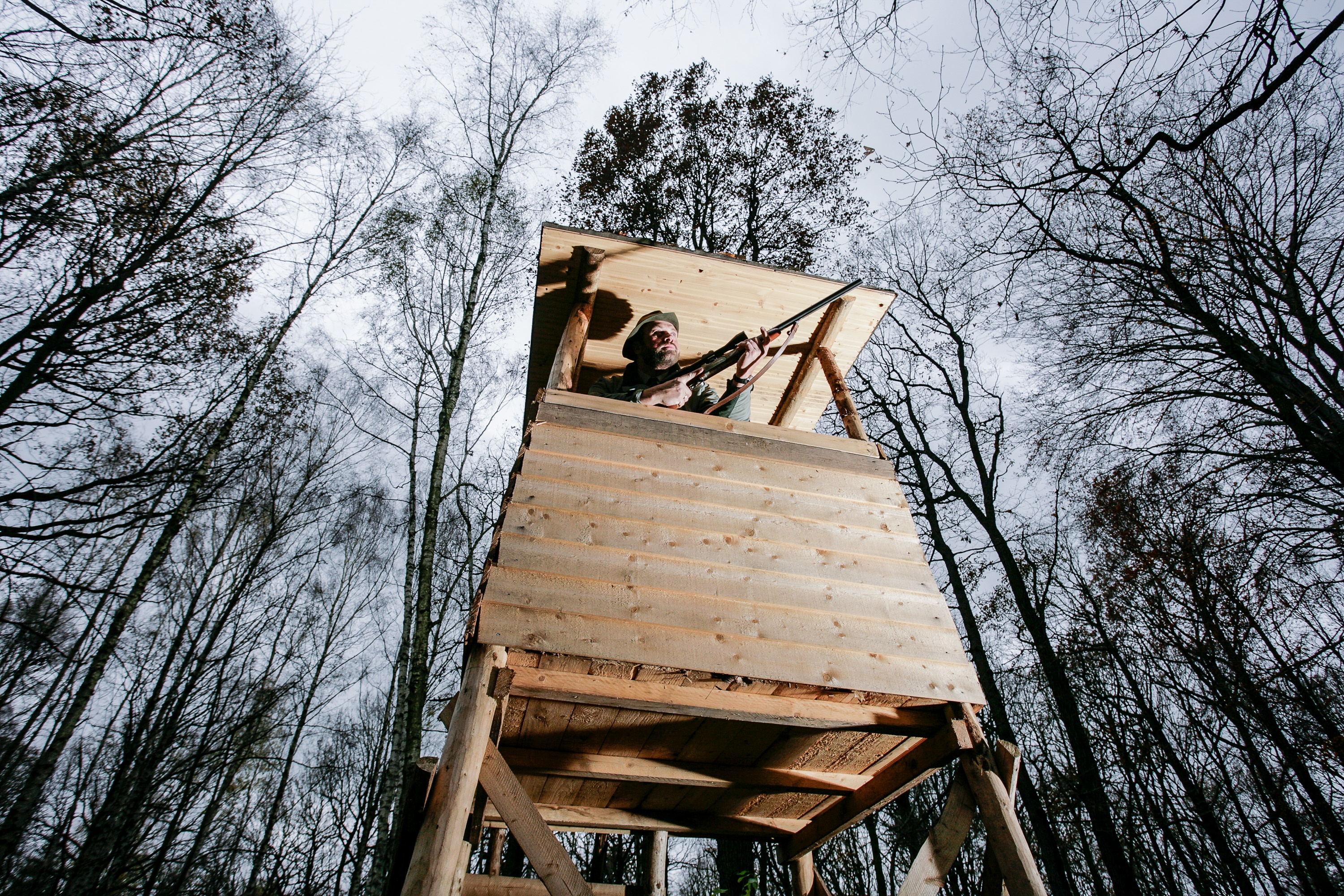 Falkhard Dau. Förster.